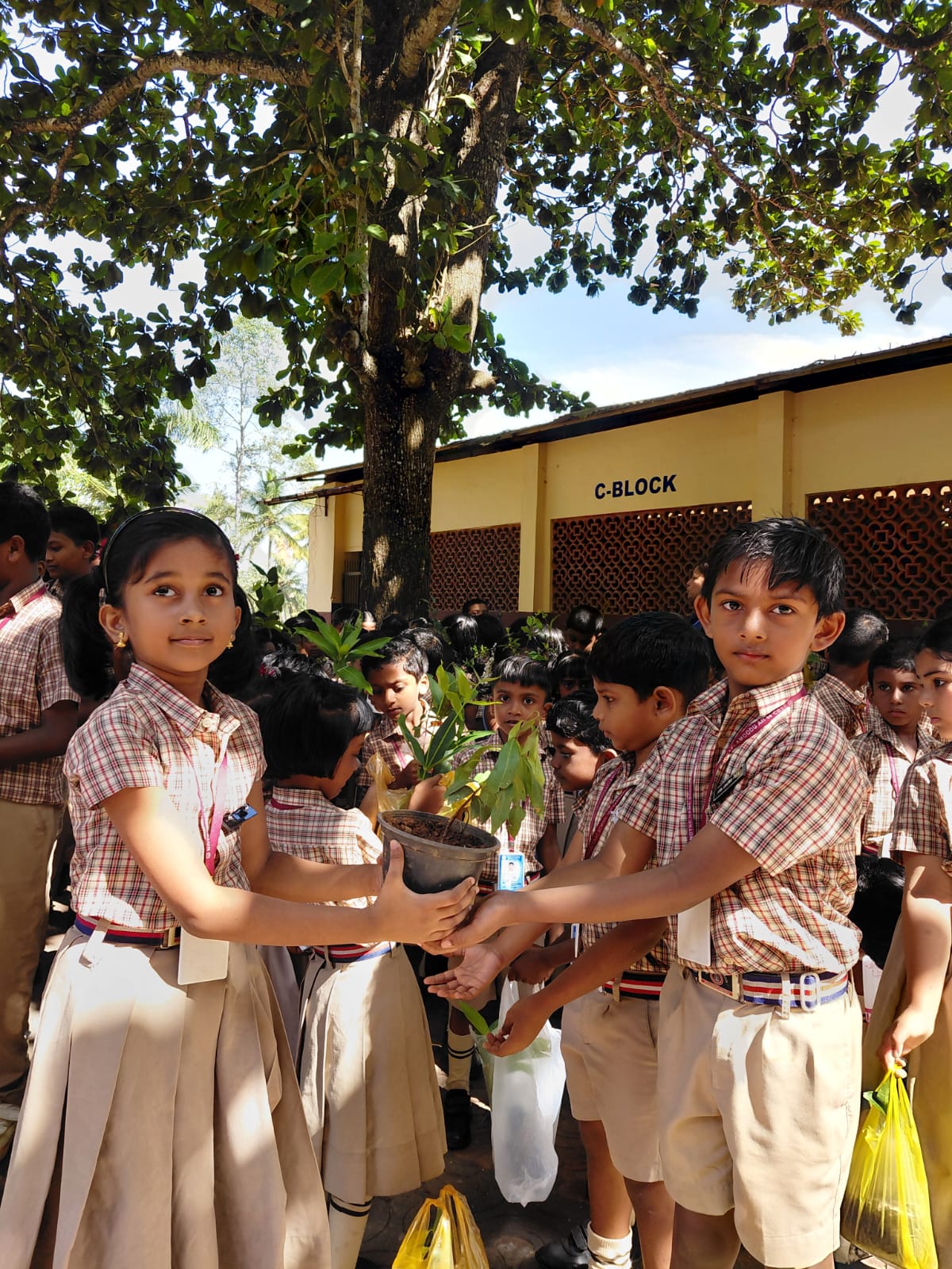 WhatsApp Image 2026-02-25 at 5.39.01 PM